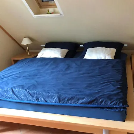 Flieder 1 아파트 미델하겐